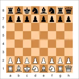 Example of a Fischer Random Chess setup position